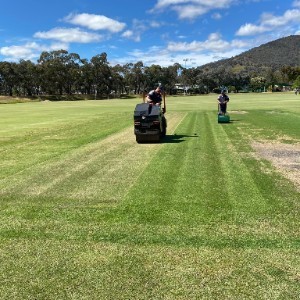 Baranduda Cricket Club