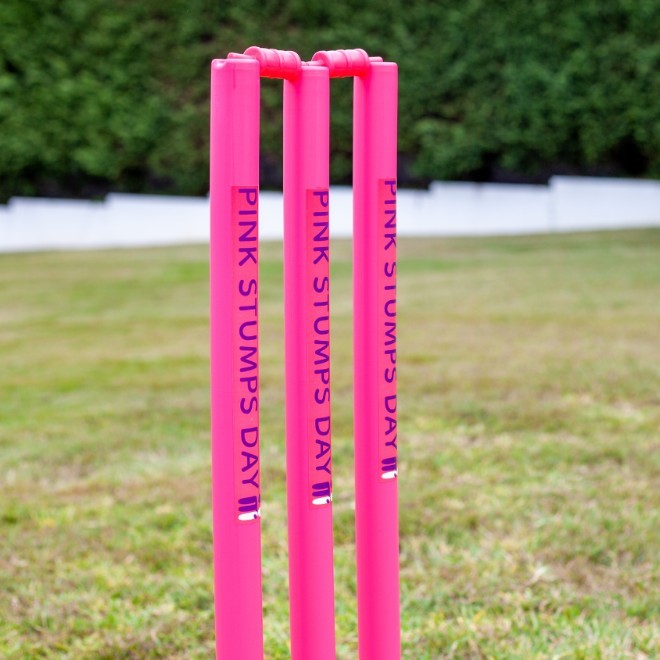 Manly Warringah Cricket Association Pink Stumps Day