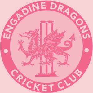 Engadine Dragons Pink Stumps Day 14a