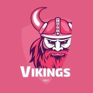 SDCC Vikings