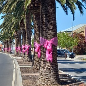 Pink up Port Pirie